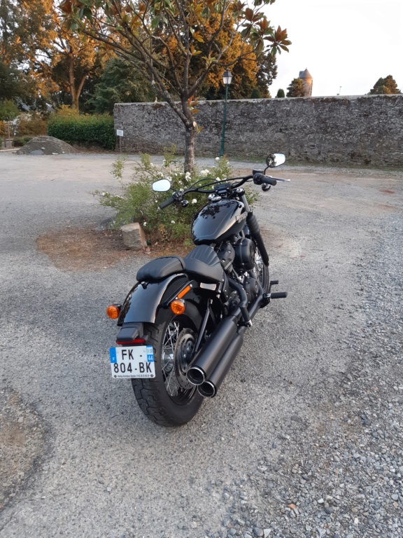 Ma première moto : Street Bob 20200817