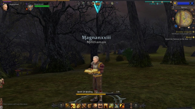 Magnan part en croisade (Warhammer Online) Magnan21