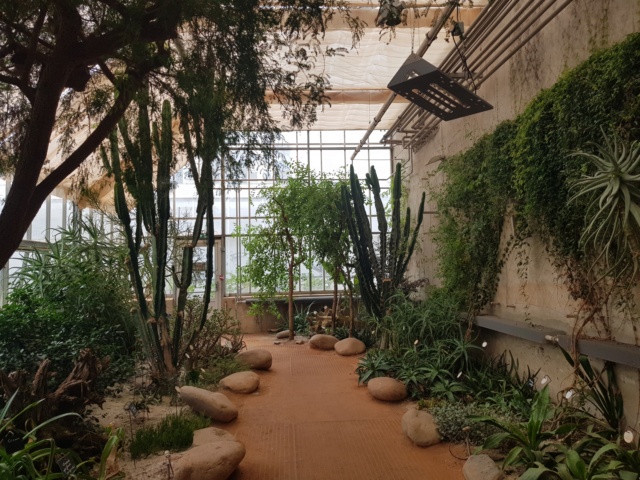 Tours , son jardin botanique, quelques bâtiments, son museum histoire naturelle - Page 2 20220949