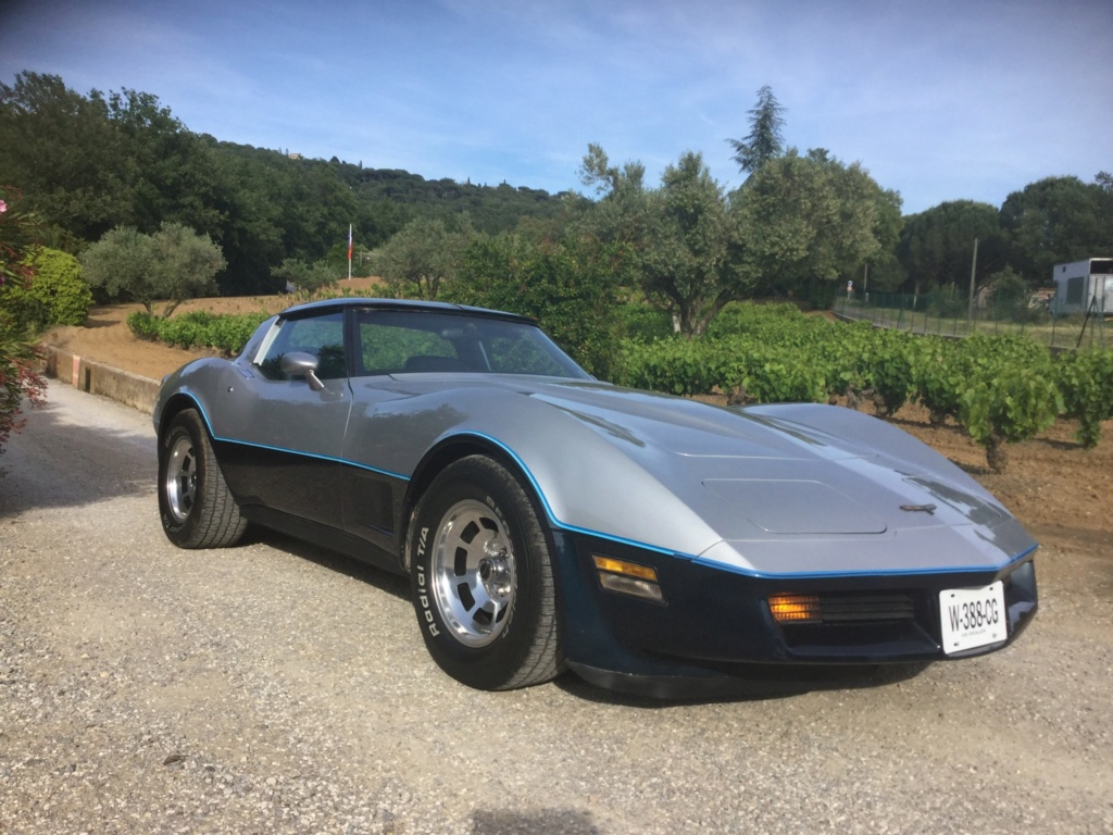 1 des 25 Corvette bi-color silver/blue  fabrique en 1981 par Bowling green  96ac8010