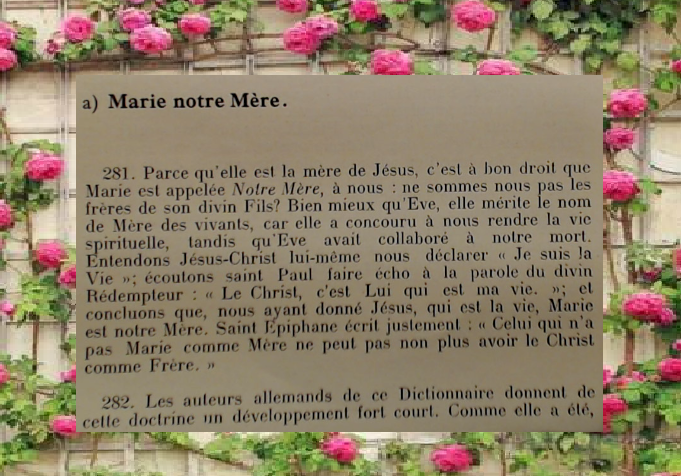 Michel Blogue la Vierge Marie à partir d'un vieux dictionnaire d'exemples/ - Page 3 Marie113