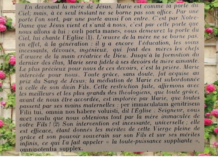 Michel Blogue la Vierge Marie à partir d'un vieux dictionnaire d'exemples/ - Page 3 Marie120
