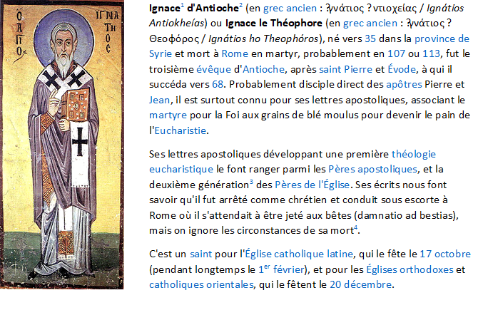 Jésus selon une Juive messianique - Page 6 Ignace10