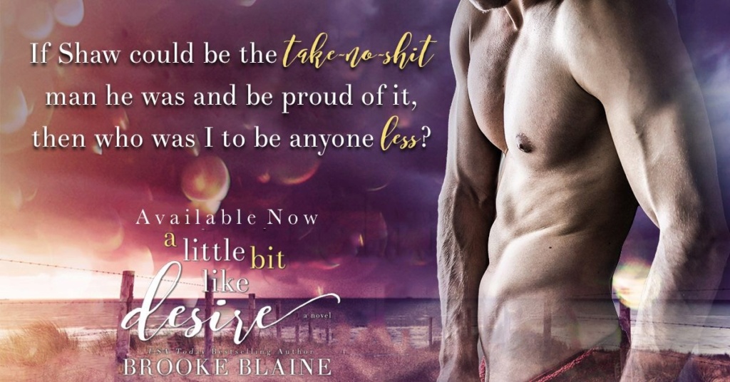 BLAINE Brooke - SOUTH HAVEN - Tome 2 : A Little Bit Like Desire Thumbn11