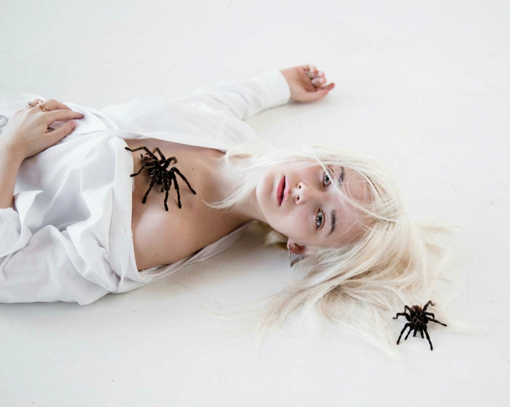 Фотосессии с пауками и не только!  47_k3b10