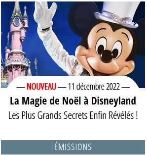 Le Noël Enchanté Disney (du 13 novembre 2021 au 9 janvier 2022) - Page 21 Capt1271