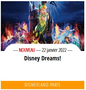 Disney Dreams! - Version 2 [Parc Disneyland - 2013-2017] - Page 14 Captu757