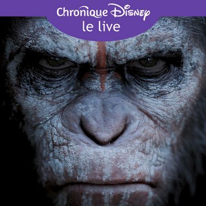 Twitch - [Twitch] Chronique Disney - Le Live Chroni21