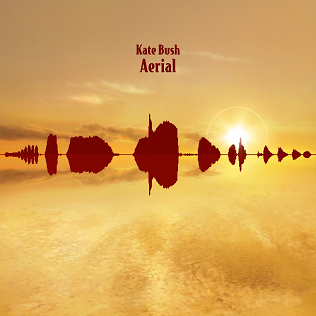 Classement préférentiel des 10 albums Aerial10