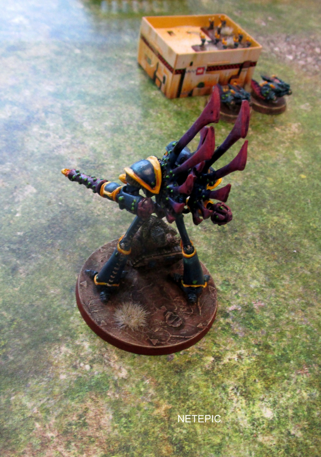 OCTOGONES Img_8226