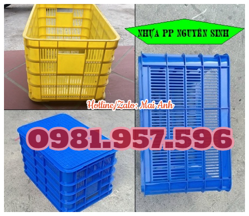 Sóng nhựa hở đáy lỗ, sóng nhựa rỗng đáy đặc, sọt nhựa Hs012 B101