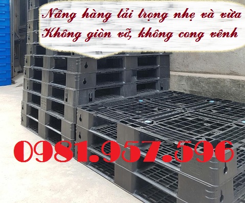 Pallet nhựa nâng hàng, pallet nhựa kê hàng, pallet nhựa mới B18