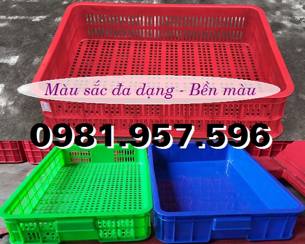 Sọt đựng hàng đông lạnh, sọt đựng thực phẩm, sọt 1T B81