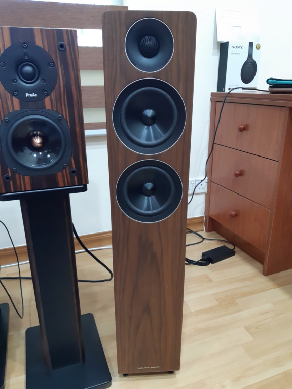 Acoustic Energy AE309 Floorstand Speakers - Sold 20210517