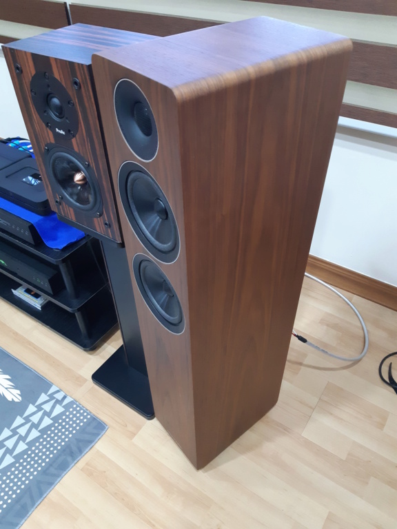 Acoustic Energy AE309 Floorstand Speakers - Sold 20210518