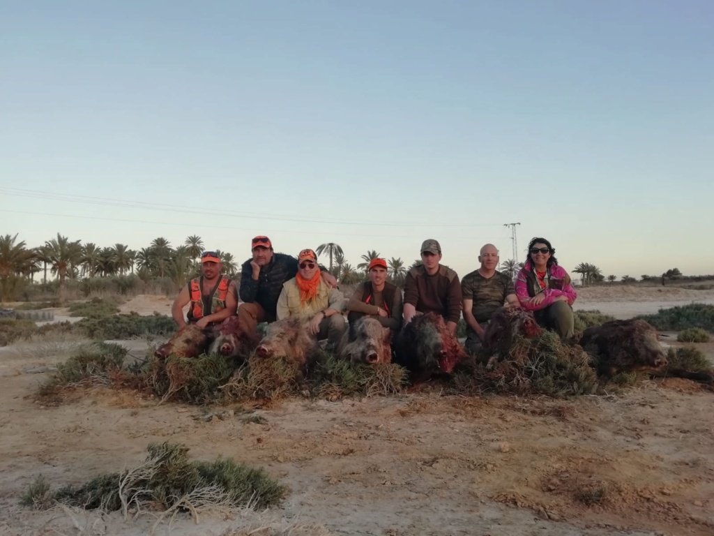 Expérience chasse en Tunisie C3414610