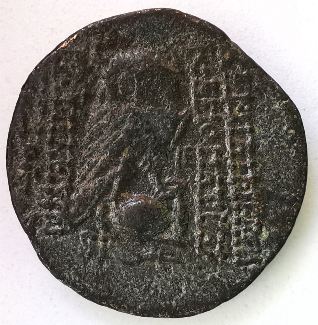 Bronce AE19 Imperio Seléucida - Cleopatra Thea y Antioco VIII Grifo (125-121AC) Img_2309