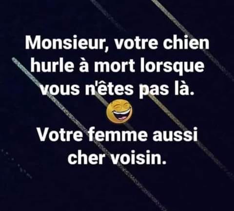 Humour - Page 3 15852410
