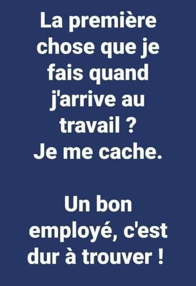 Humour - Page 10 24168610