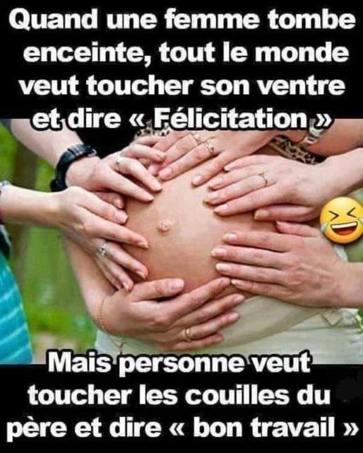 Humour - Page 11 24251211