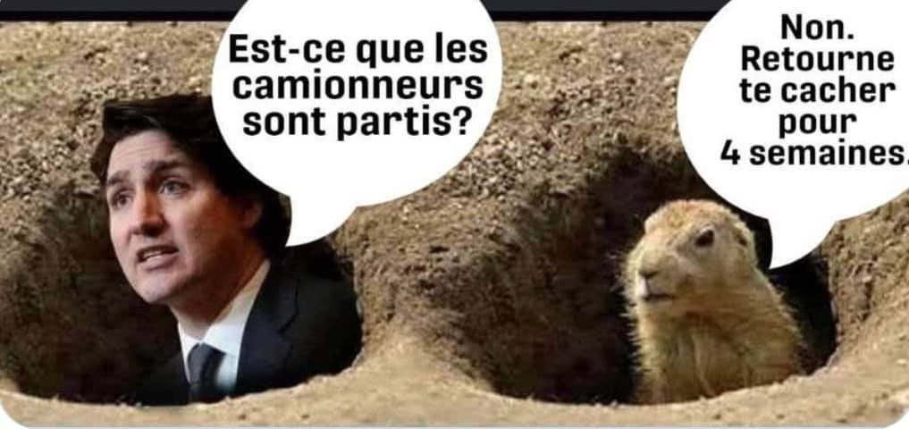 Humour - Page 16 27330910