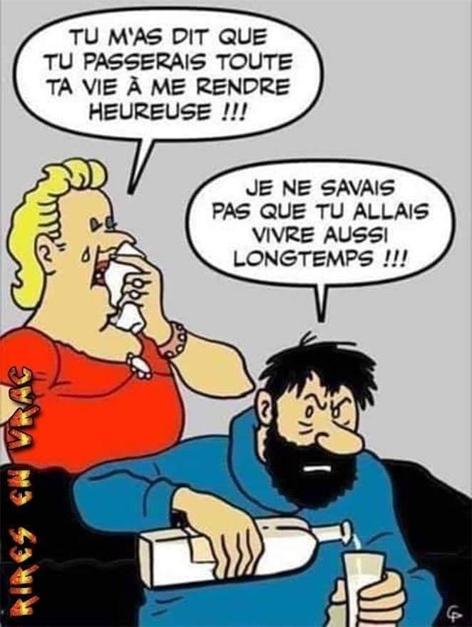 Humour - Page 16 27441710