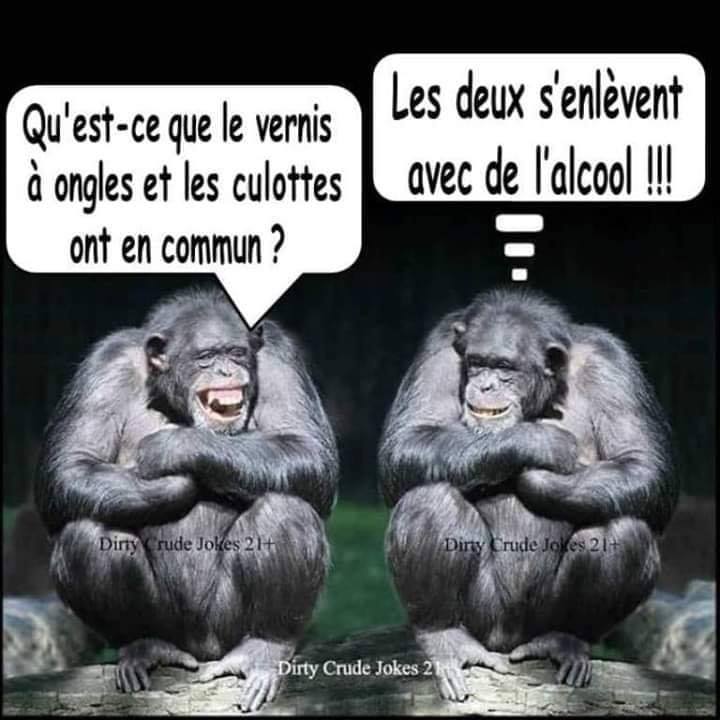 Humour - Page 20 29856011