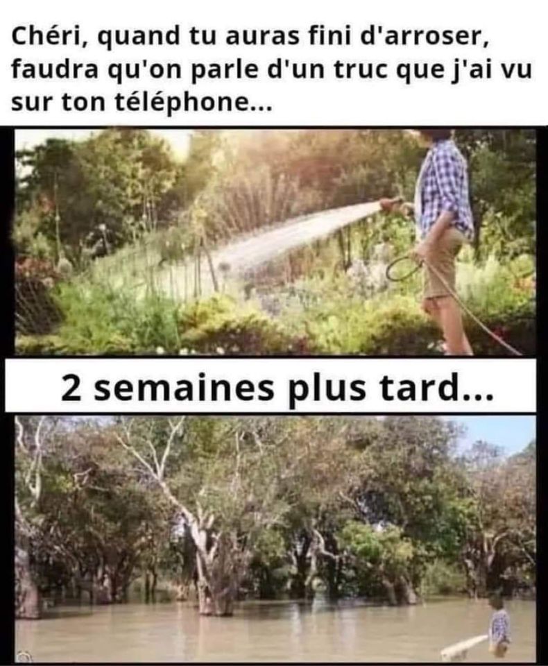 Humour - Page 20 29993610