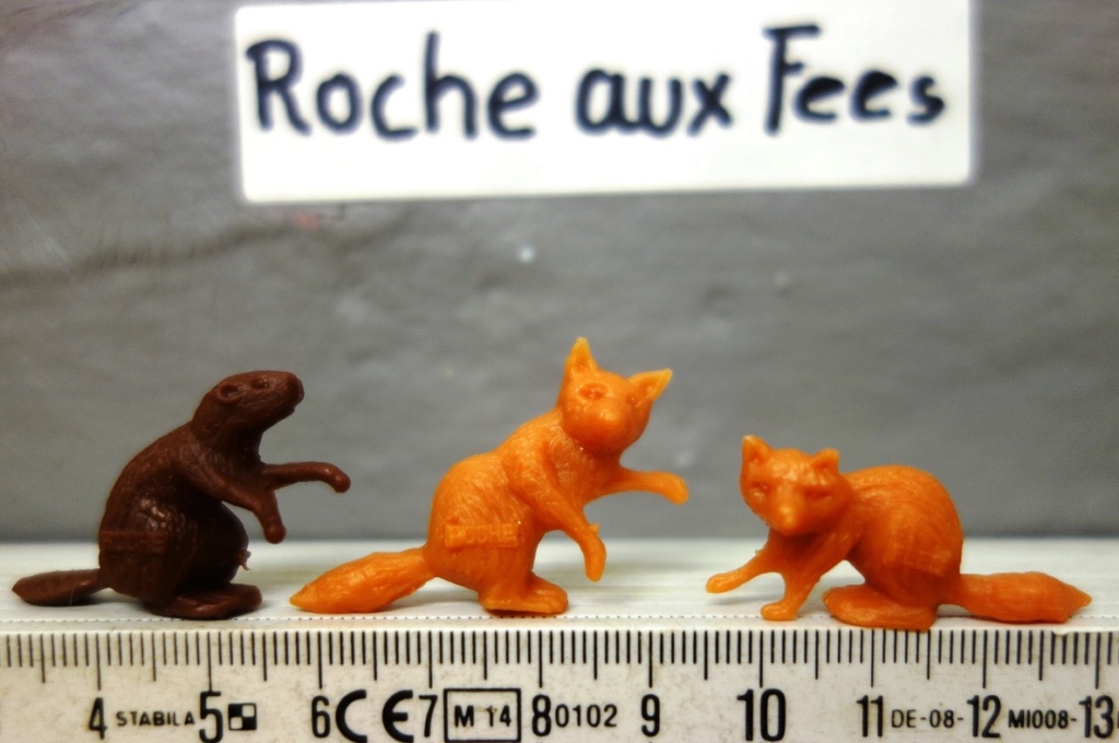 La Roche aux Fées Premiums animals Roche_21