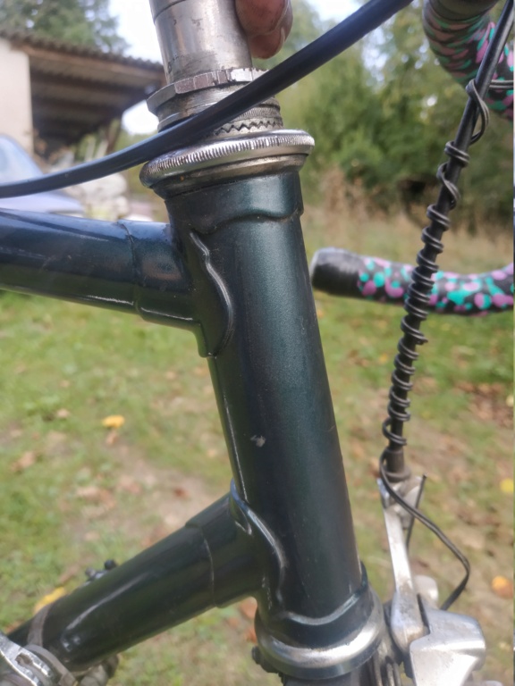 Un vélo Vert anciennement bleu a identifier  Img_2079