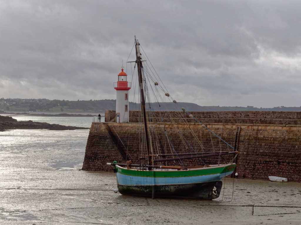 Erquy, marée basse 21013010