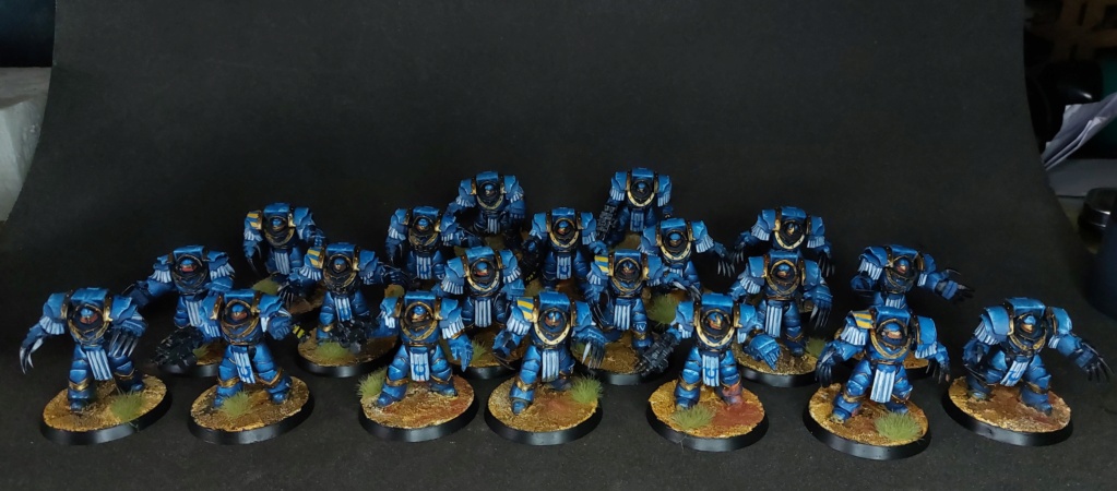 Fini[Scar/alliance] 20 terminators  (660pts) 20230710