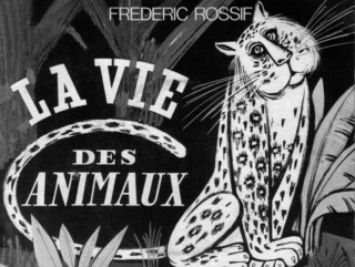 Août 1952: La Vie des animaux Capt1315