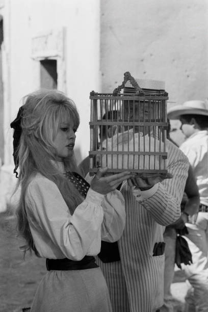 1965 - 1er février 1965: Brigitte Bardot sur le tournage du film 'Viva Maria' Getty410