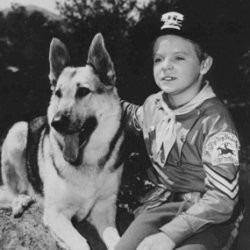 1960 - 21 janvier 1960: ”Rintintin” Lesinc67