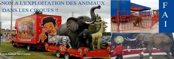 manifestation anti animaux sauvages dans les cirques ! Cirque10