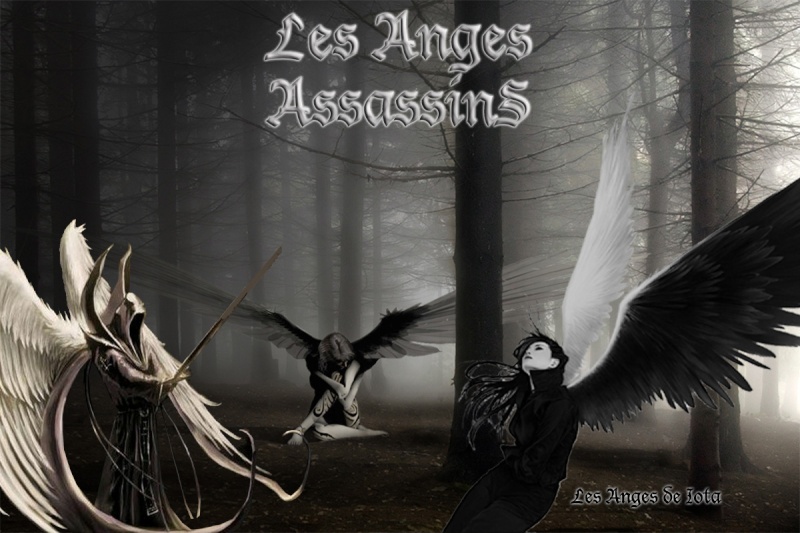 <b>Le Royaume Des Anges</b>