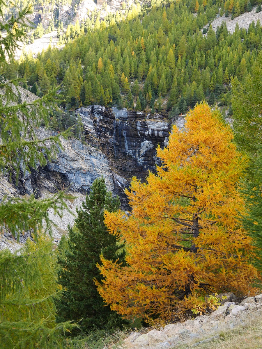 Cascade de la Piche 10911