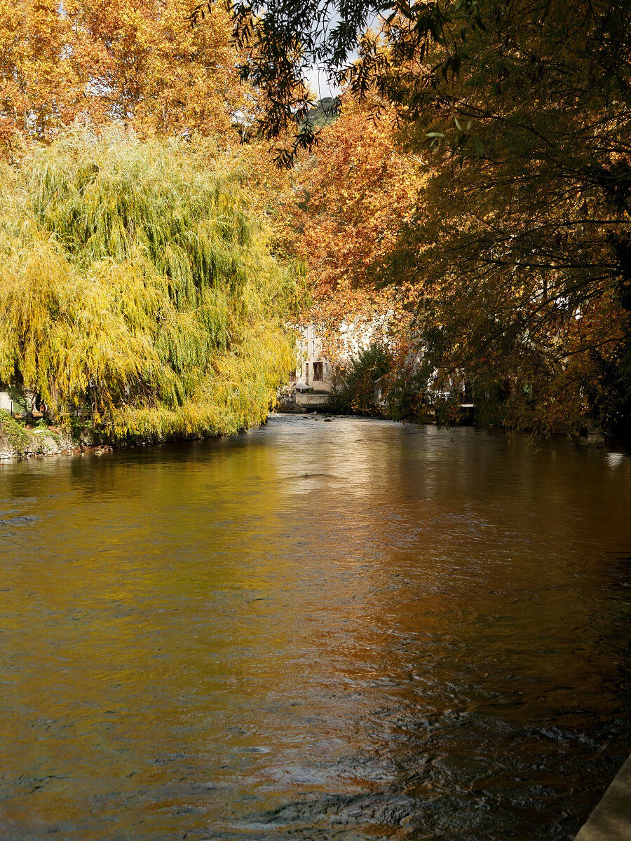 Fontaine de Vaucluse (village) 15012