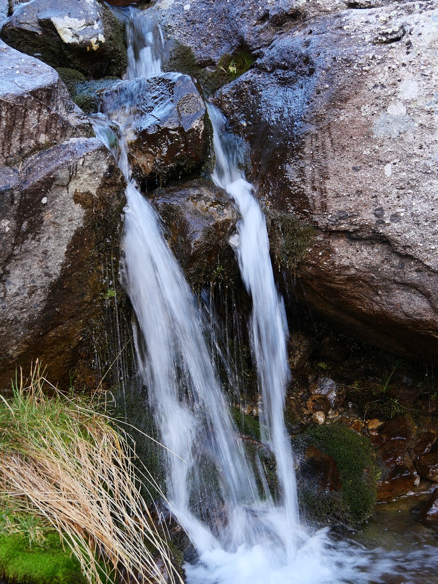 Aux source de la Bléone 15411