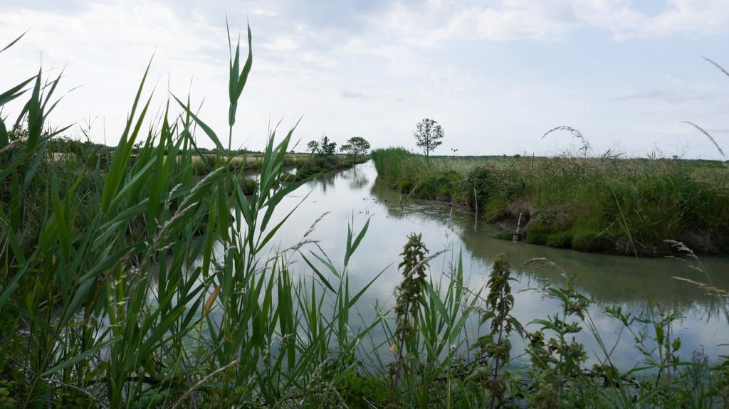 Marais Charentais 212