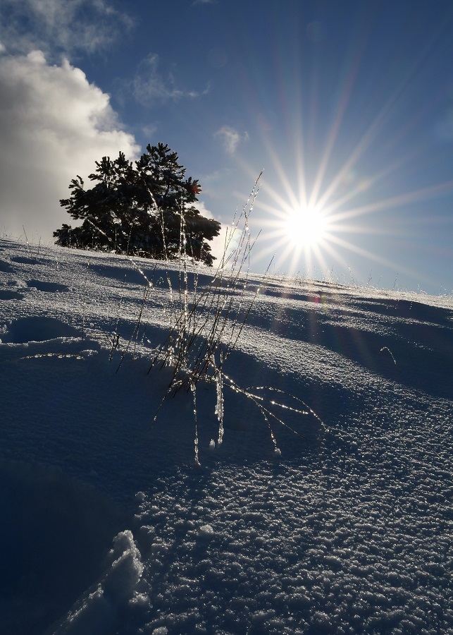 Jour d'hivers P1002636