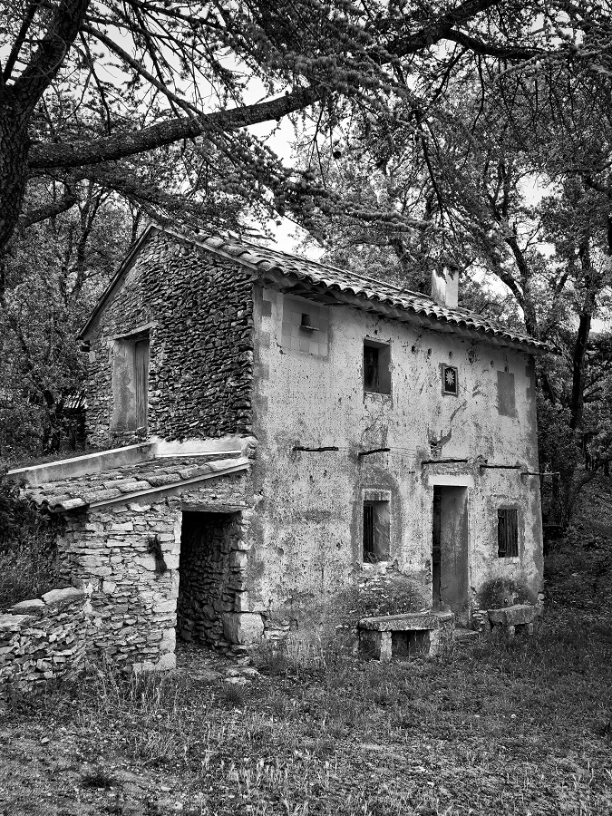 Cabanon provençal P1020130