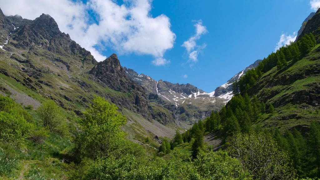 Col du Sellon P1020323