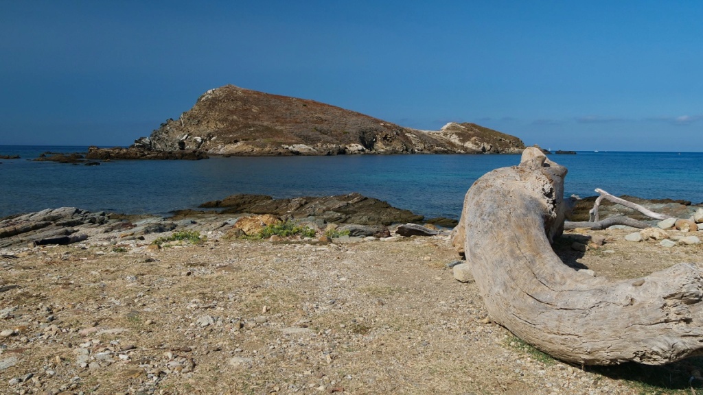 Ile de Capense P1023014
