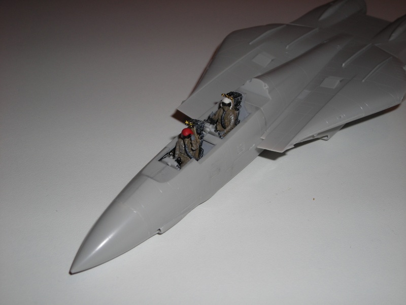 F14A Tomcat - JOLLY ROGERS - 1/72 [FUJIMI] Dscn1623