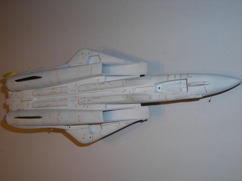 F14A Tomcat - JOLLY ROGERS - 1/72 [FUJIMI] - Page 2 Dscn1751