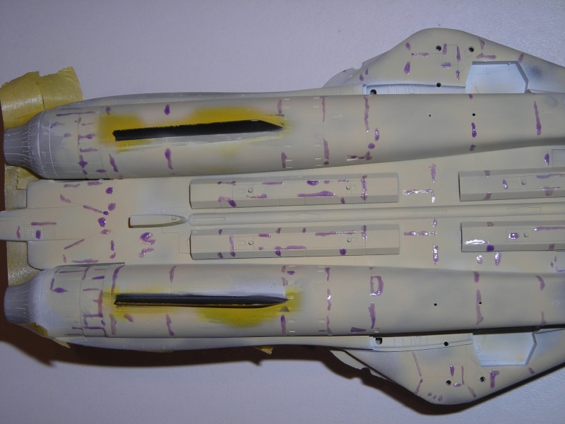 F14A Tomcat - JOLLY ROGERS - 1/72 [FUJIMI] - Page 2 Dscn1752