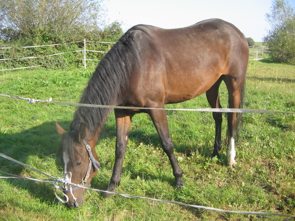 Nuit d'Avril, le retour ! pour ceux qui ont suivi depuis le dbut lol.et pour les autres aussi biensur ! Adopt par Emilie !!!!!!... Nuit_d10