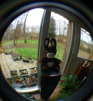 FISHEYE DMC-TZ2/3/4/5 P1040218